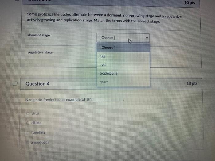 Solved The form of asexual reproduction shown below is