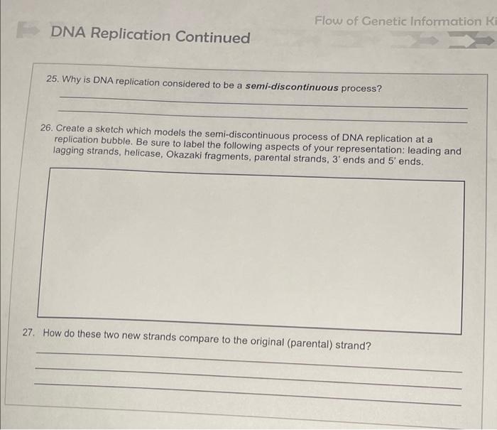 Solved Flow of Genetic Information K DNA Replication | Chegg.com