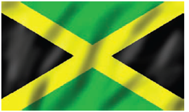 Solved: Geometry The Perimeter Of The Jamaican Flag Is 120 Inch 