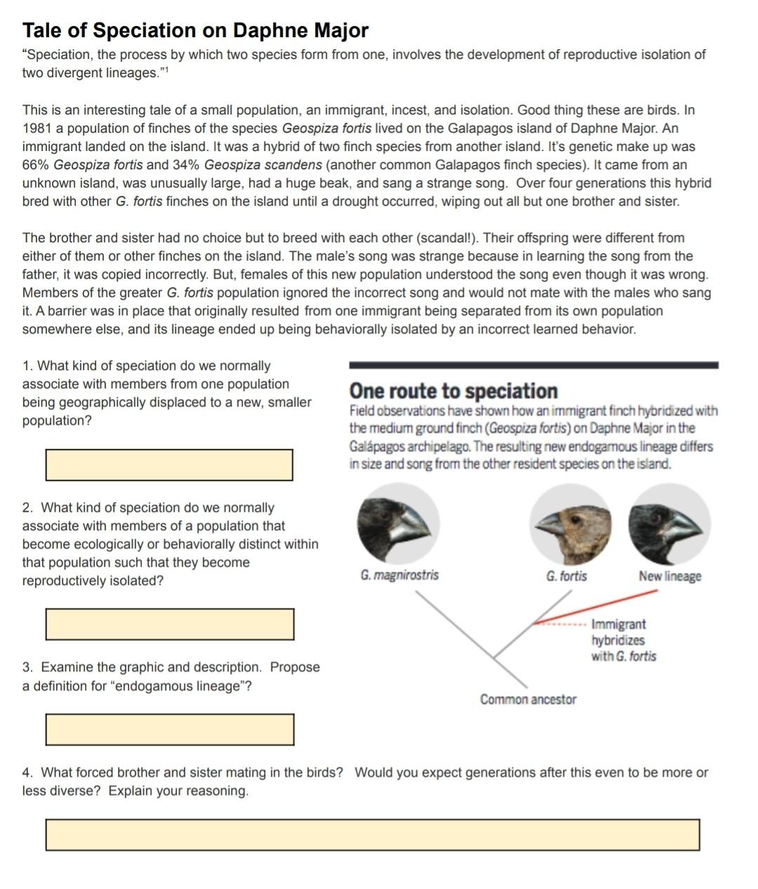 Solved Tale Of Speciation On Daphne Major Speciation Th Chegg Com