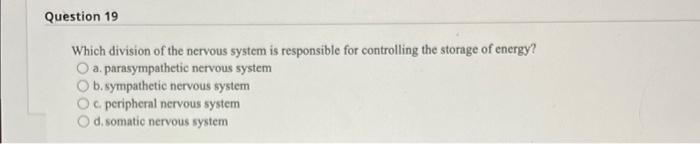 Solved Question 19 Which division of the nervous system is | Chegg.com