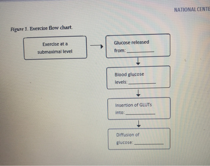 NATIONAL CENTE Figure 1. Exercise flow chart | Chegg.com