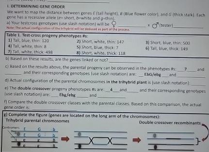 Solved DETERMINING GENE ORDERWe want to map the distance | Chegg.com