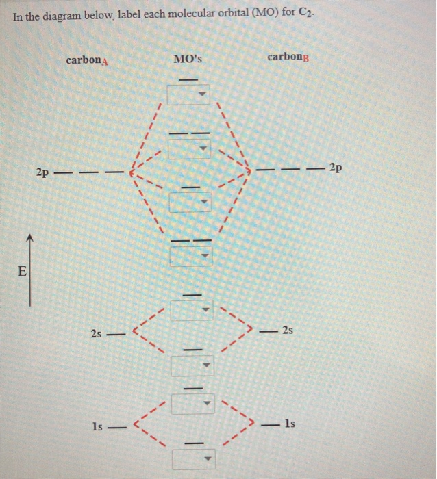 Solved: In The Diagram Below, Label Each Molecular Orbital ...