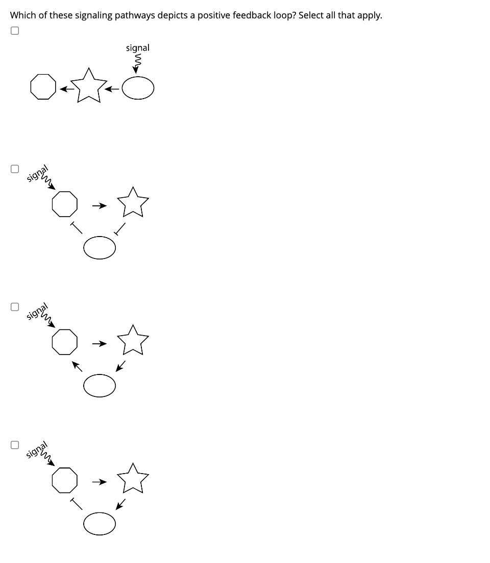 Solved Which of these signaling pathways depicts a positive | Chegg.com