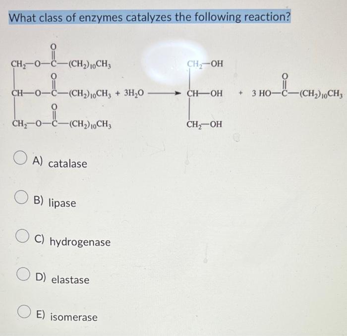Solved What class of enzymes catalyzes the following
