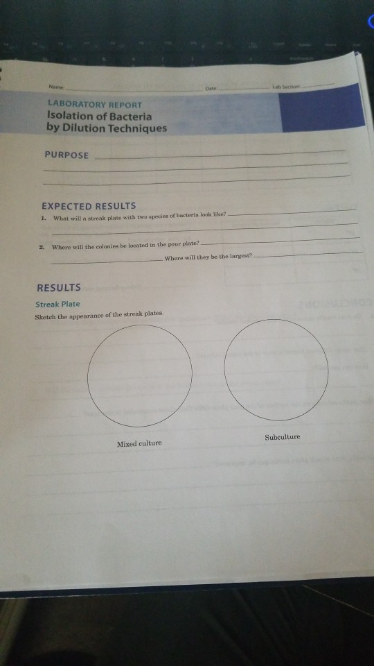 Solved LABORATORY REPORT Isolation of Bacteria by Dilution