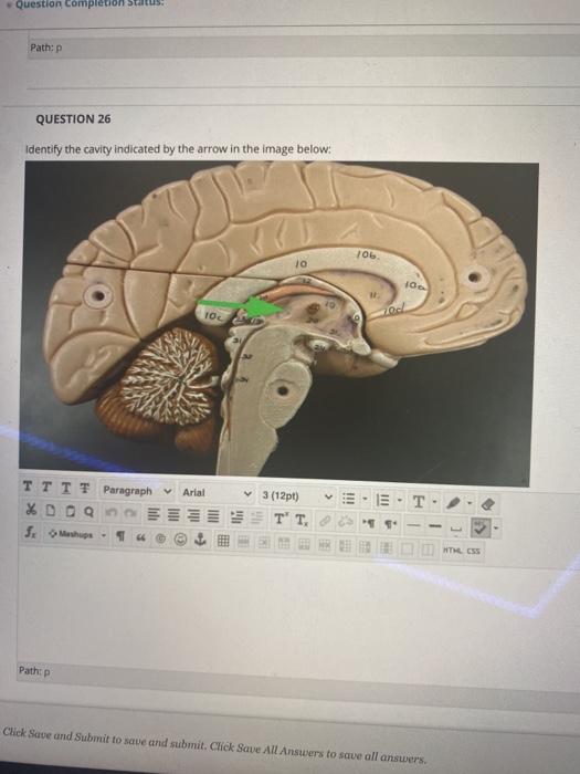 Solved QUESTION 22 What is the function of the structure | Chegg.com