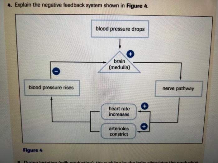 Solved 4. Explain The Negative Feedback System Shown In | Chegg.com