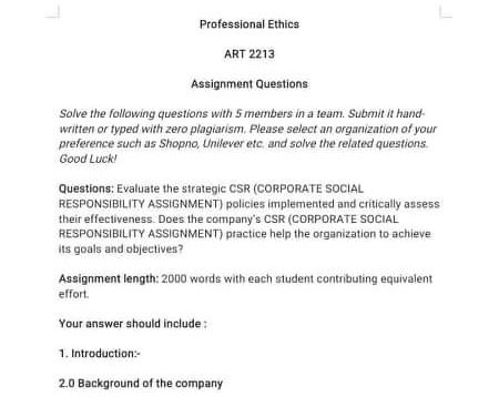 professional ethics assignment questions