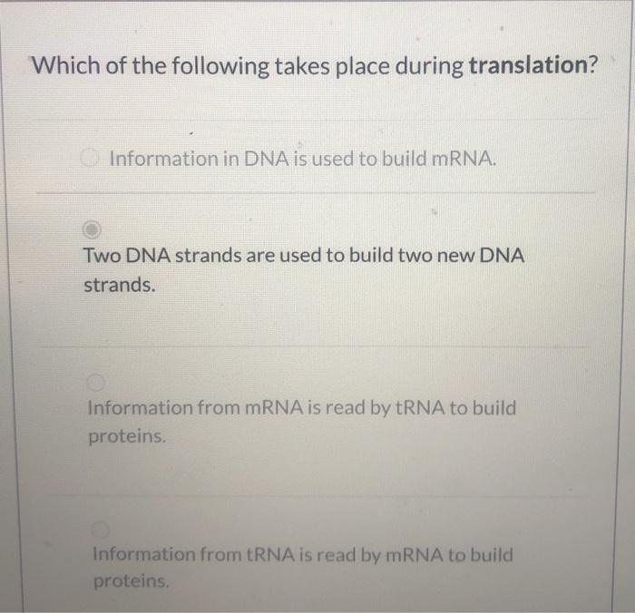 Which Of The Following Takes Place During Translation