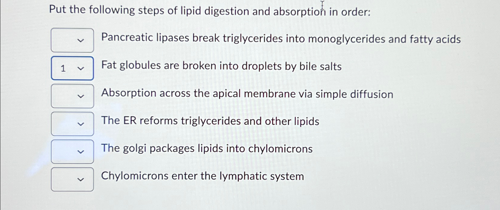 Solved Put the following steps of lipid digestion and | Chegg.com