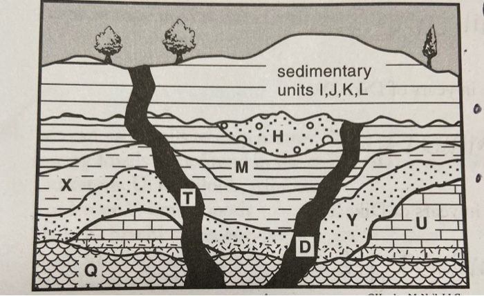 Solved Sedimentary Units 1 J K L M Y D Q 15 What Can Be Chegg Com