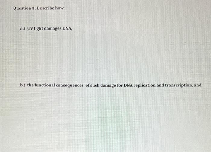 Solved a.) UV light damages DNA, b.) the functional | Chegg.com