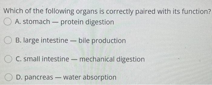 Solved A. An ectothermic animal that also regulates their | Chegg.com