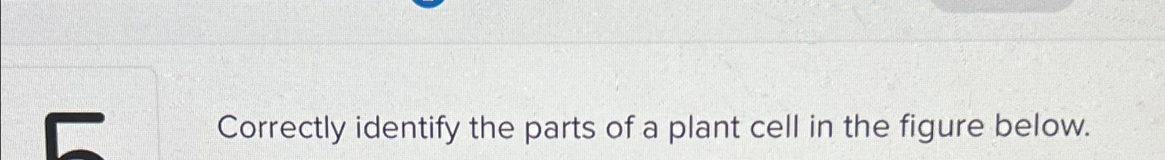 Solved Correctly identify the parts of a plant cell in the | Chegg.com