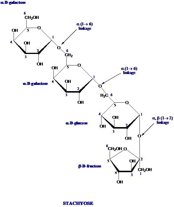 Solved: Characterize the oligosaccharide stachyose in terms ofa ...