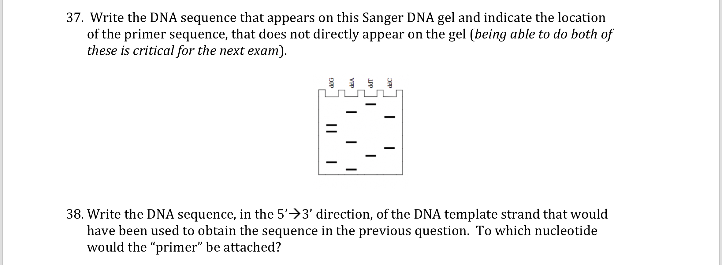 Solved 37.Write the DNA sequence that appears on this Sanger | Chegg.com