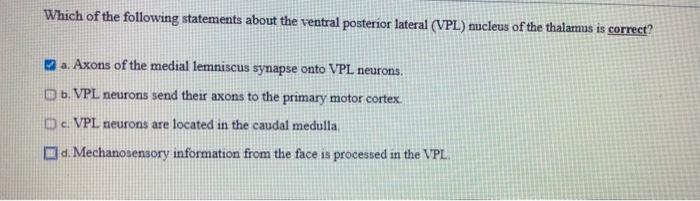VPL - Ventral posterolateral nucleus