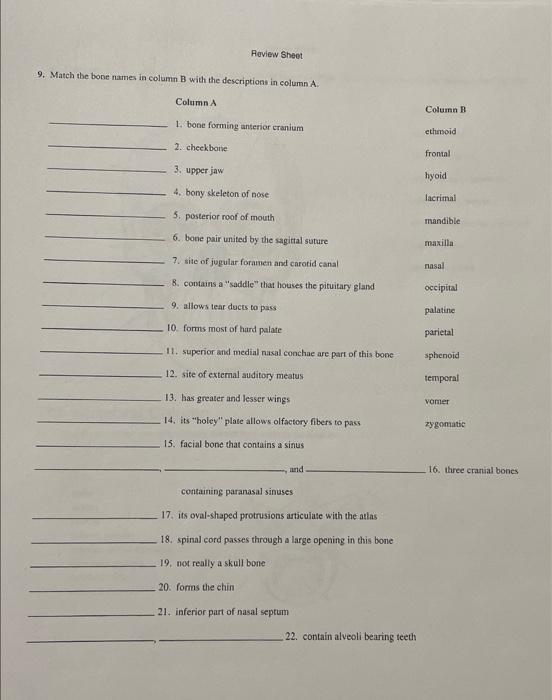 Solved 9. Match the bone names in column B with the | Chegg.com