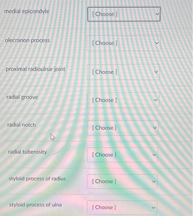 Solved Matching. Match the letters on the diagram with the | Chegg.com