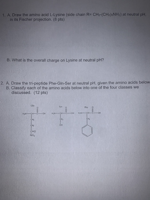 Solved 1. A. Draw the amino acid LLysine (side chain