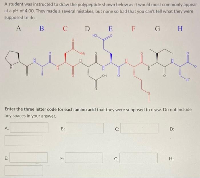 Solved A Student Was Instructed To Draw The Polypeptide | Chegg.com