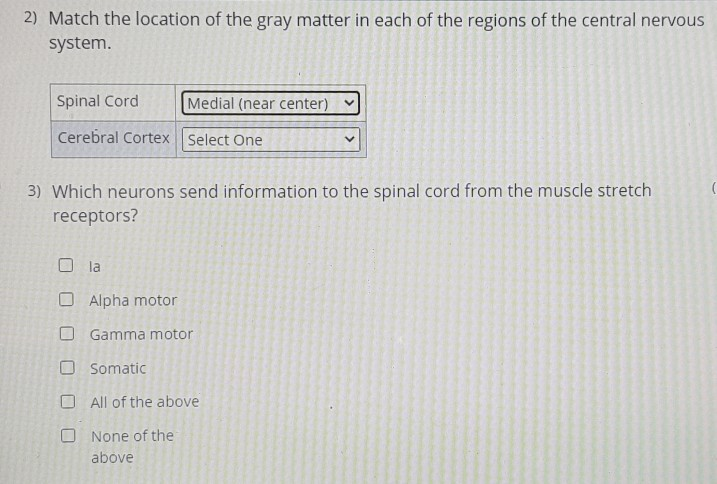 Solved 2) Match the location of the gray matter in each of | Chegg.com
