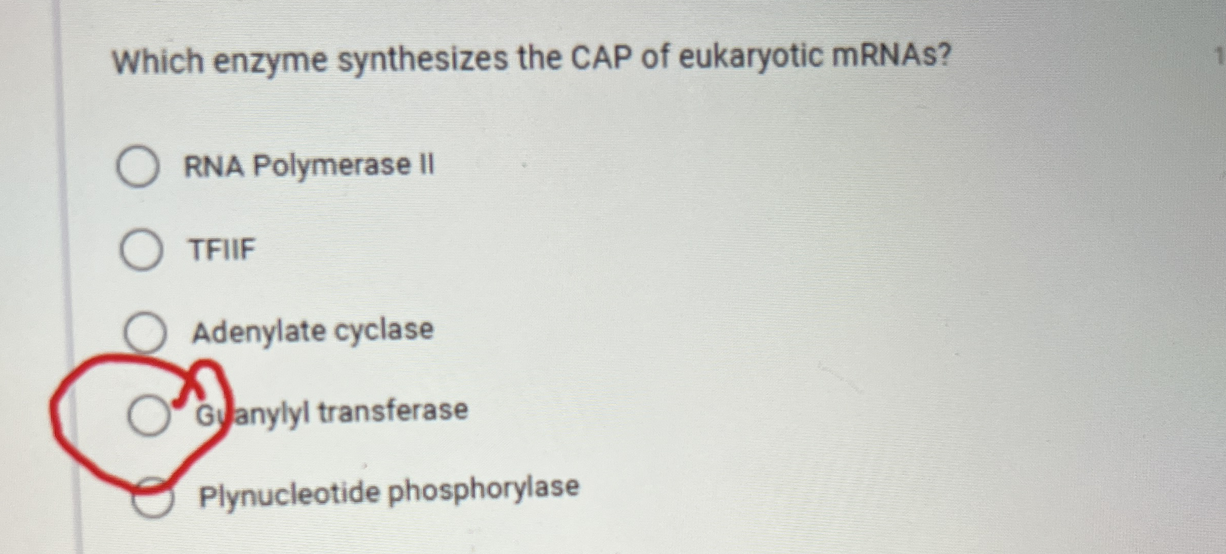 Solved Which enzyme synthesizes the CAP of eukaryotic | Chegg.com