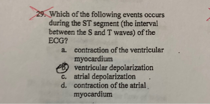 Solved 29. Which of the following events occurs during the | Chegg.com