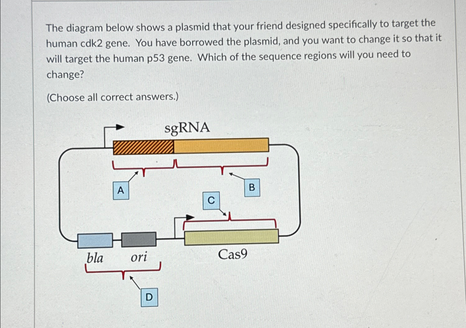 Solved The diagram below shows a plasmid that your friend | Chegg.com