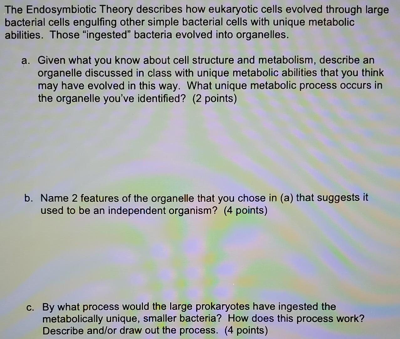 Solved The Endosymbiotic Theory describes how eukaryotic | Chegg.com