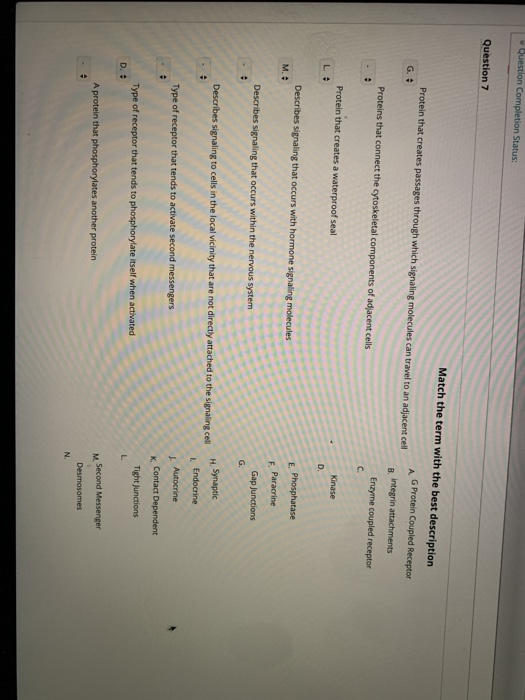 Solved Question Completion Status: Question 7 Match the term | Chegg.com