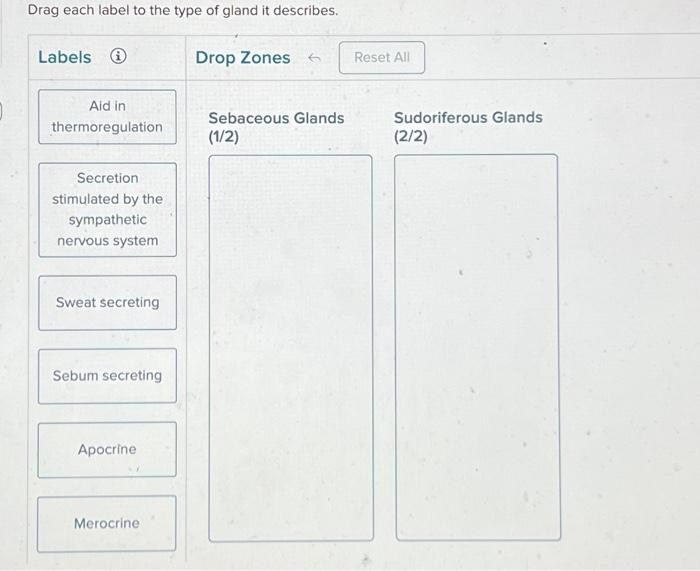 Solved Drag each label to the type of gland it describes.