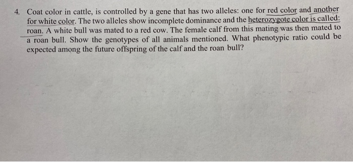 Solved 4. Coat color in cattle, is controlled by a gene that | Chegg.com