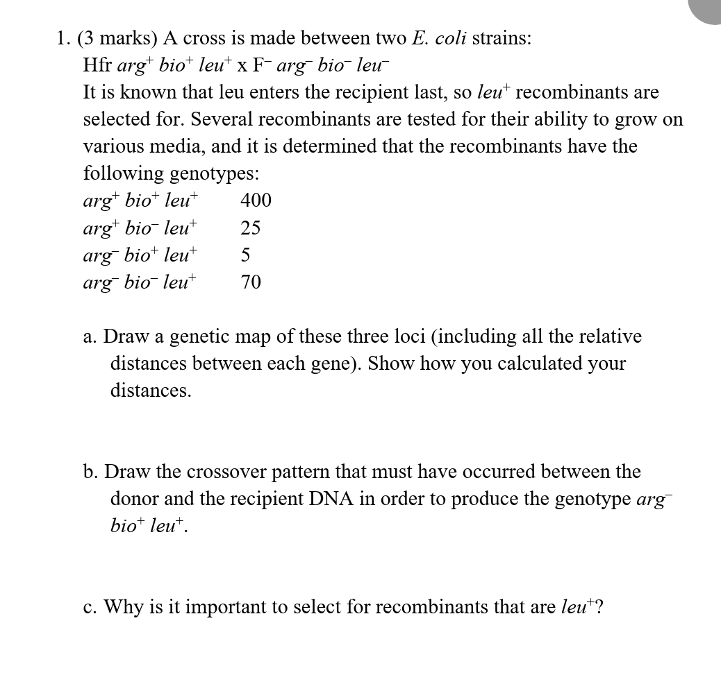 Solved (3 ﻿marks) ﻿A cross is made between two E. ﻿coli | Chegg.com