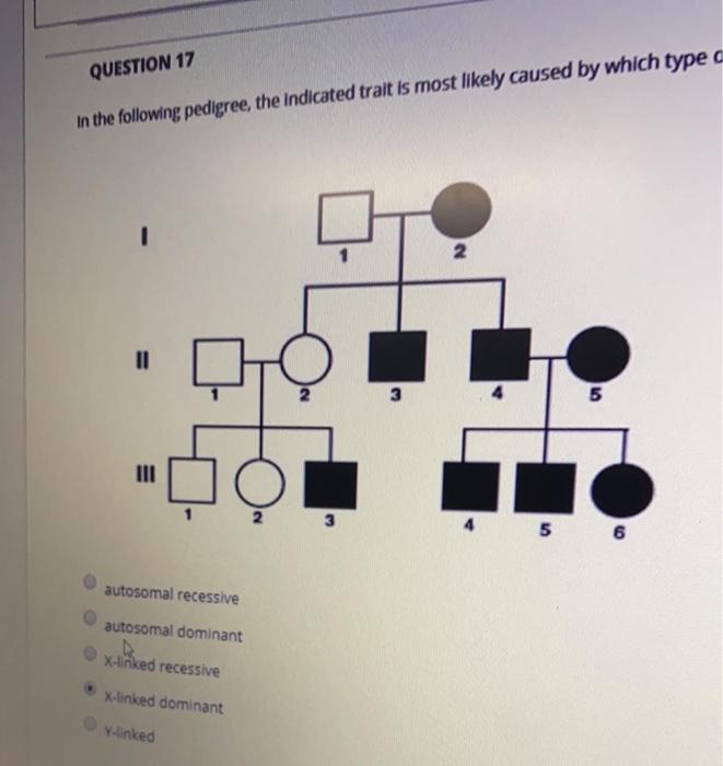 Solved QUESTION 17 In the following pedigree, the indicated | Chegg.com