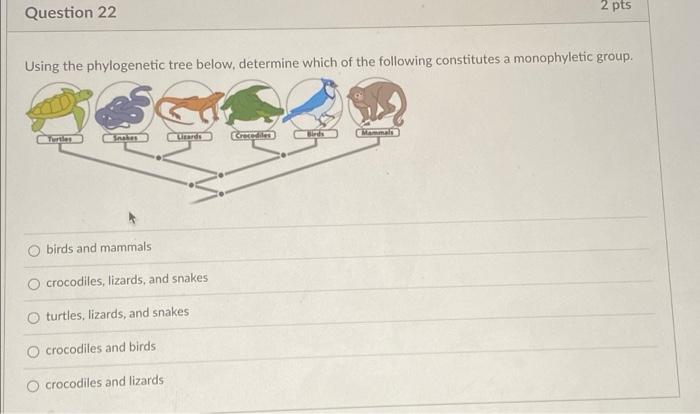 Solved Question 22 2 Pts Using The Phylogenetic Tree Below, | Chegg.com