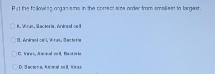 Solved Put the following organisms in the correct size order 