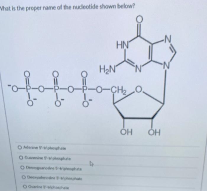 Solved In nucleic acids, nucleotides are joined together by