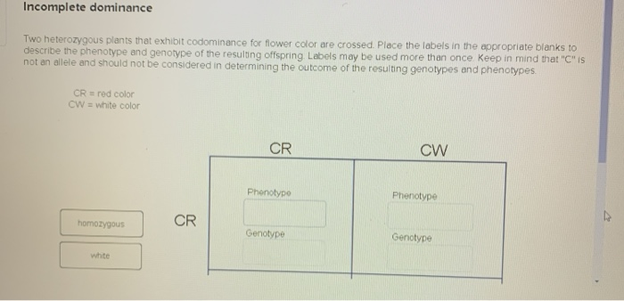 Solved Alleles representing a recessive trait Which allele | Chegg.com