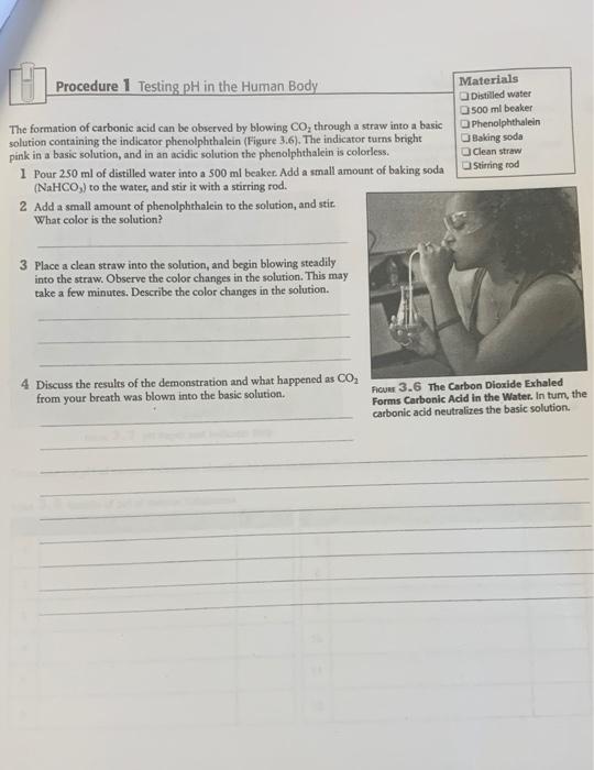 Solved H Procedure 1 Testing pH in the Human Body Materials