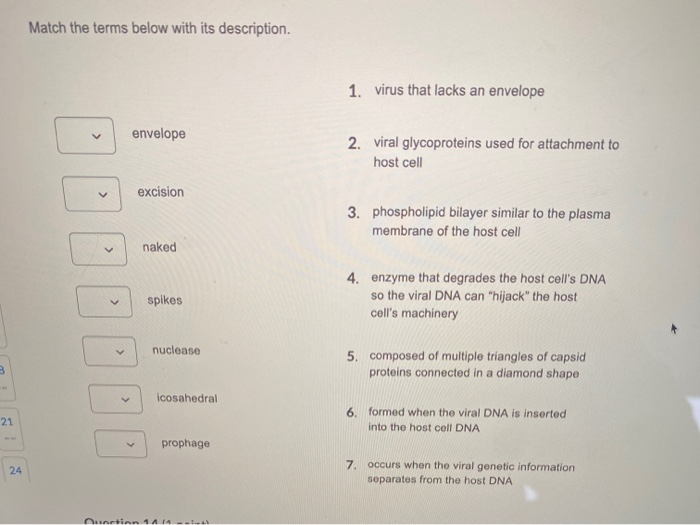 Solved Match the terms below with its description. 1. virus | Chegg.com
