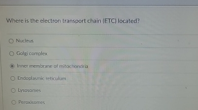 Solved Where is the electron transport chain (ETC) | Chegg.com