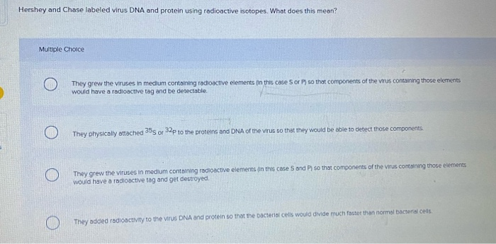 Solved Match the enzymes involved in DNA replication with | Chegg.com 