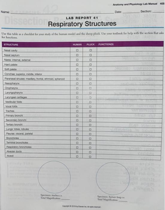 Anatomy and Physiology Lab Manual 405 Name Date