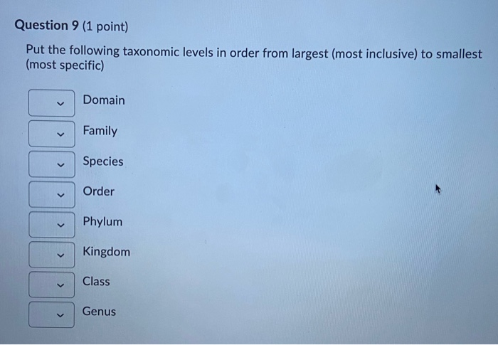 Solved Question 9 (1 point) Put the following taxonomic | Chegg.com