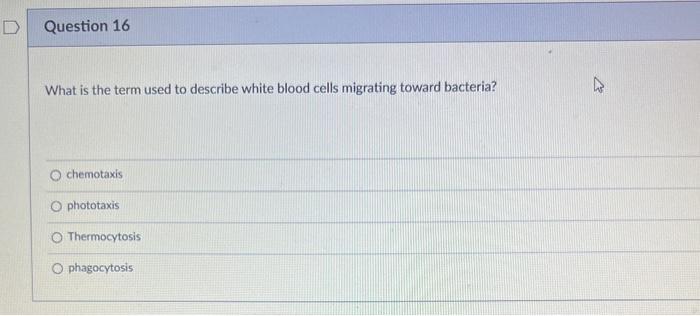 Solved D Question 16 What Is The Term Used To Describe White Chegg