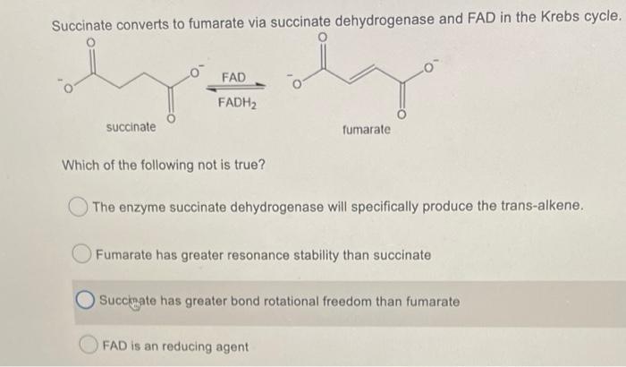 Solved Succinate Converts To Fumarate Via Succinate | Chegg.com