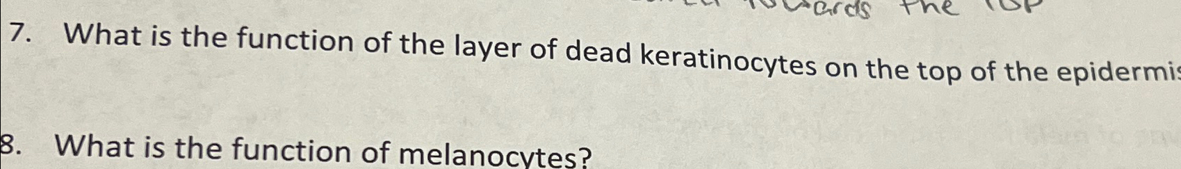 Solved What is the function of the layer of dead | Chegg.com